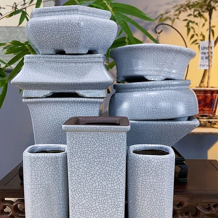 红陶20CM（含）-50CM（不含）