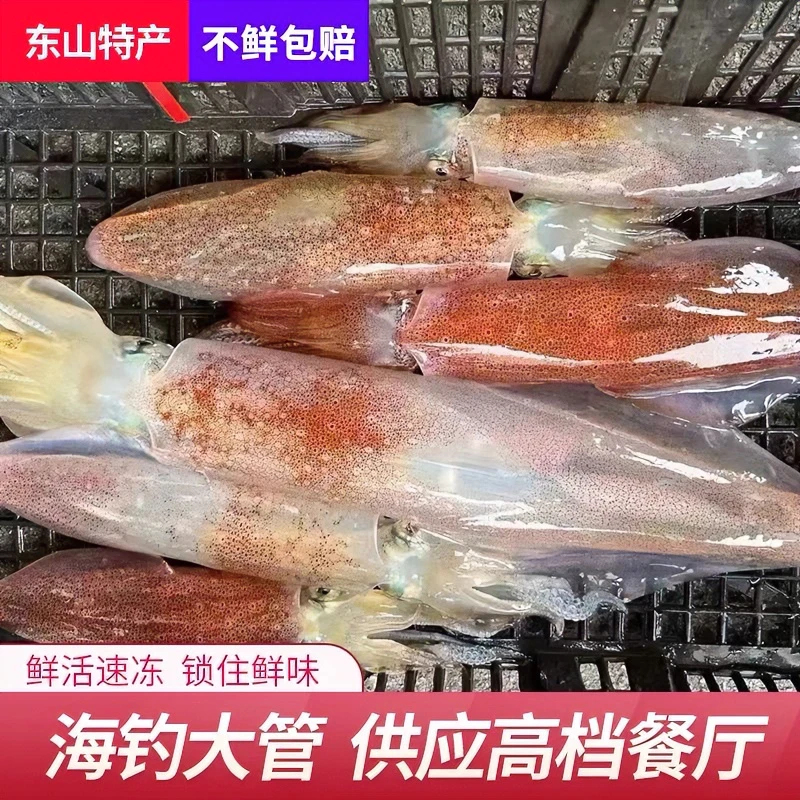 【两只两斤装】东山岛手钓大管鲜活速冻大鱿鱼乌贼活冻火箭管枪鱿鱼