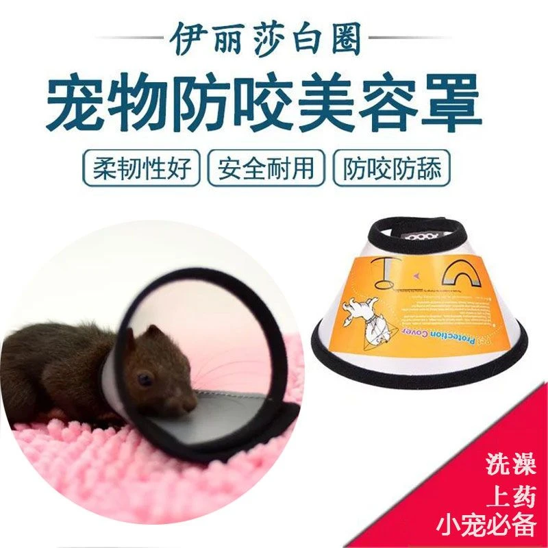 蜜袋鼯松鼠防咬圈伊丽莎白圈仓鼠小宠防咬圈洗澡防舔上药用品大小