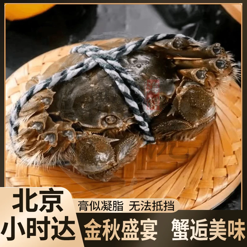 鲜活 大闸蟹公蟹 约3.7-4.2两/只 包活