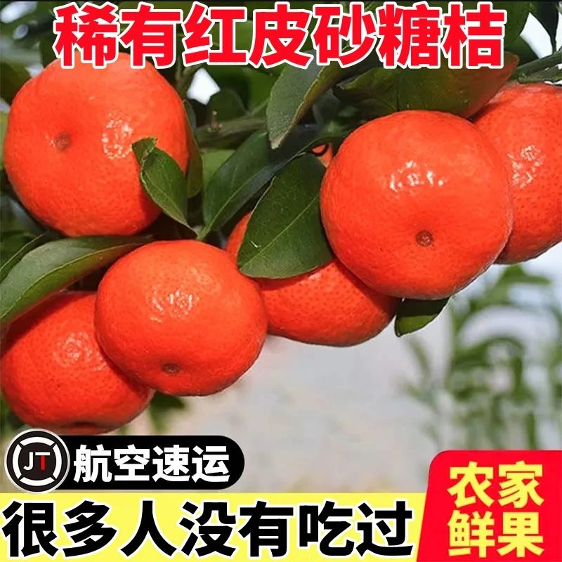 正宗广西红皮砂糖桔新鲜水果小橘子砂糖橘小桔子带箱1/3/5/10斤