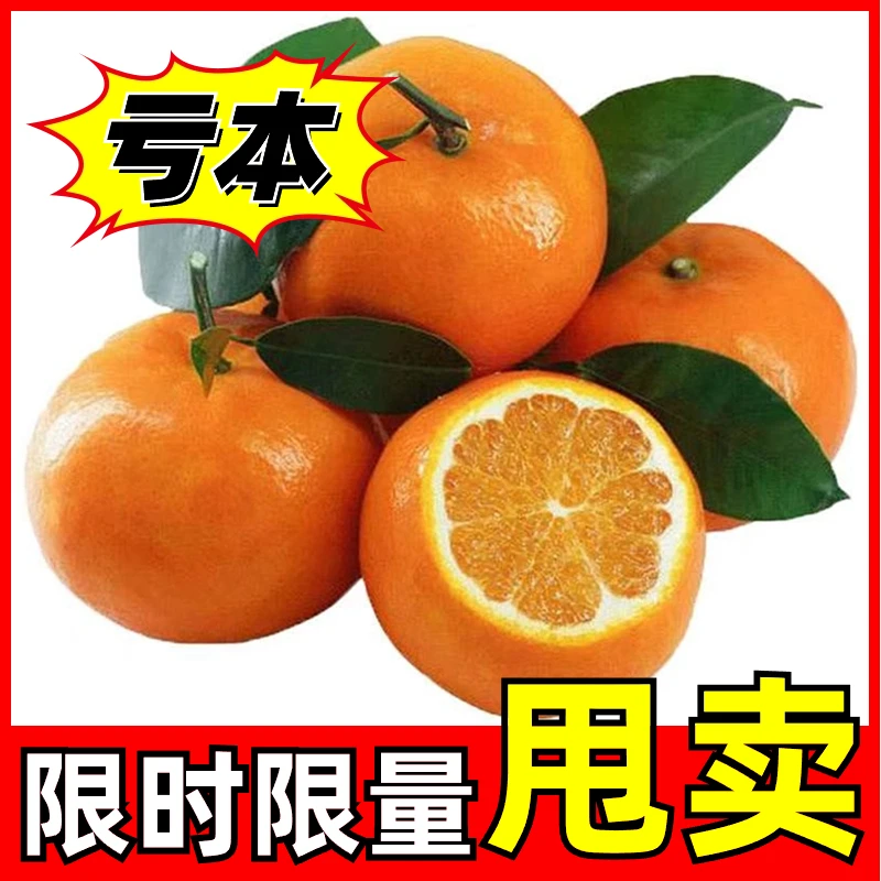 正宗广西武鸣沃柑新鲜桔子水果产地直发当季现摘现发无酸多汁橘子
