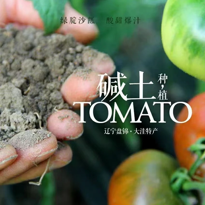 盘锦碱地柿子三斤中果1.5-2两【京东包邮】