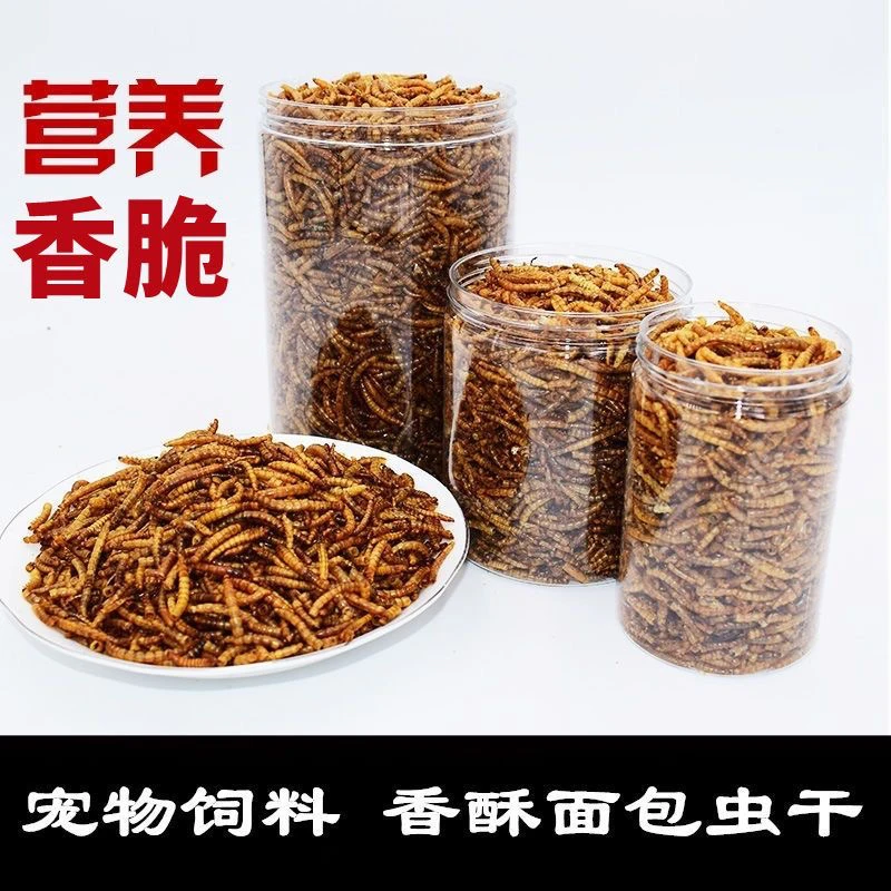 精选面包虫干 鱼饲料 雷龙饲料 仓鼠饲料 试吃装 罐装高蛋白营养