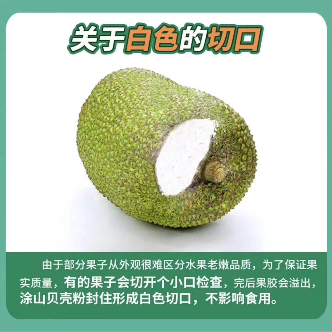 粉丝浮力【顺丰包邮】偏远10元脆甜干苞出肉率高整个发货食用进口