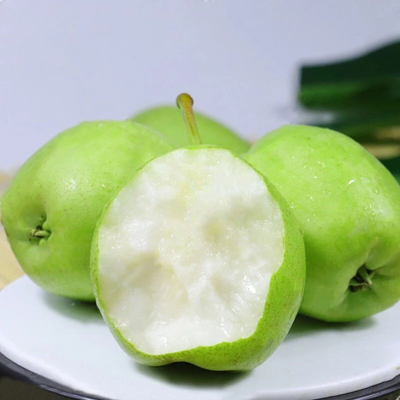 夏乐现摘现发运城头茬绿皮梨应季孕妇水果脆爽多汁5/8斤包邮