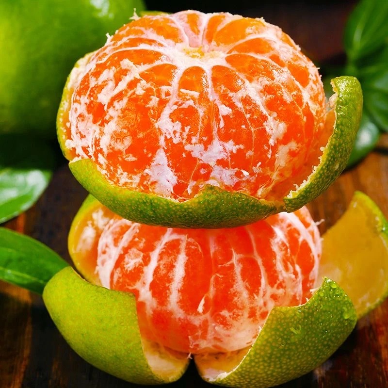 【买5斤送5斤】云南高山青皮蜜桔酸甜可口柑橘农家果园现摘现发X