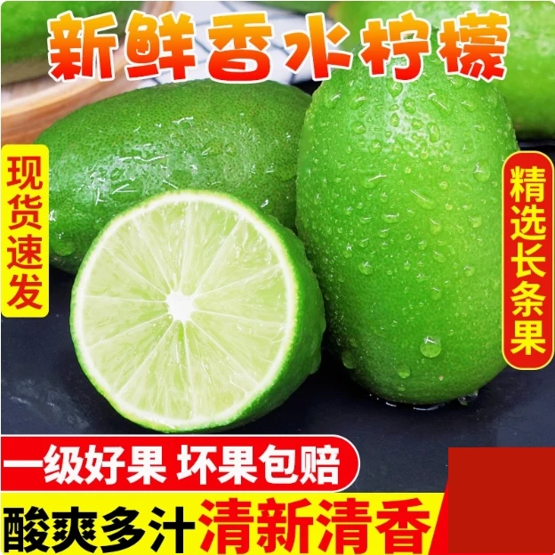 海南无籽香水（子弹头）柠檬应季新鲜水果奶茶店必备