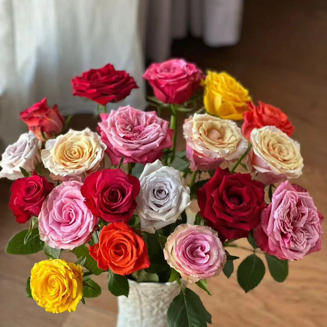 （一单包邮）20枝玫瑰玫瑰 鲜花云南直发 昆明斗南鲜花水养插花