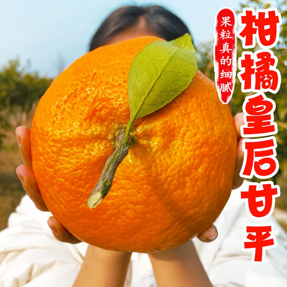 四川甘平柑橘皇后2/5/8斤新鲜采摘水果香甜皮薄汁水多个大