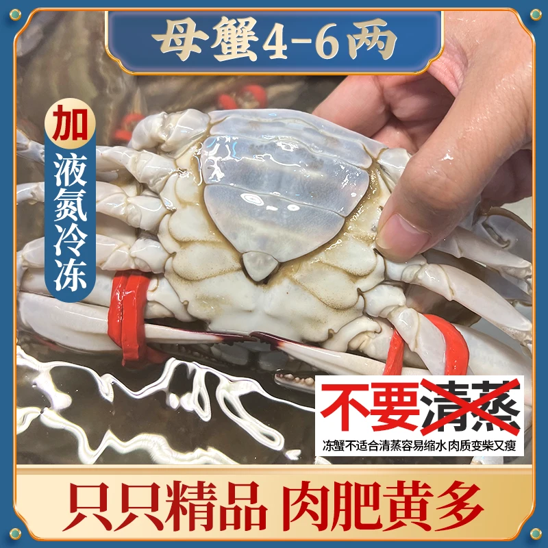 W舟山梭子蟹母蟹4-6两左右液氮冷冻螃蟹水产飞蟹肉蟹美味速冻海鲜