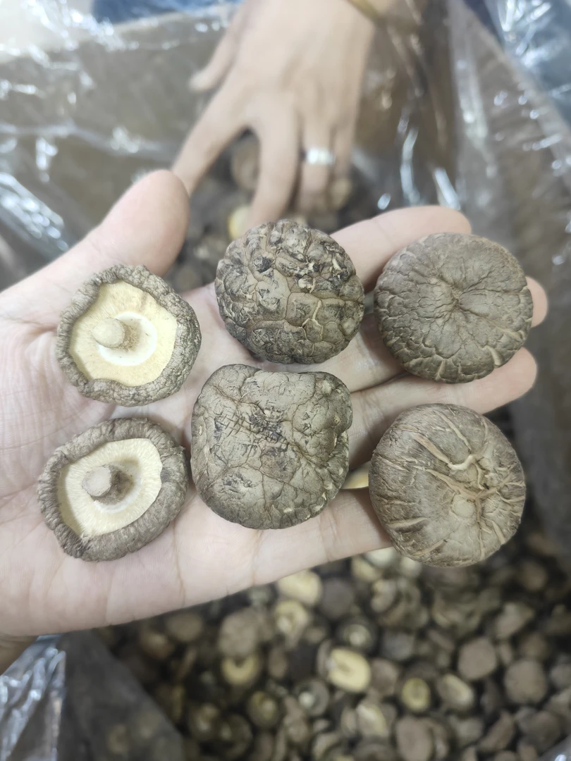 农家特产香菇干货肉厚菌菇煲汤炒菜佳品