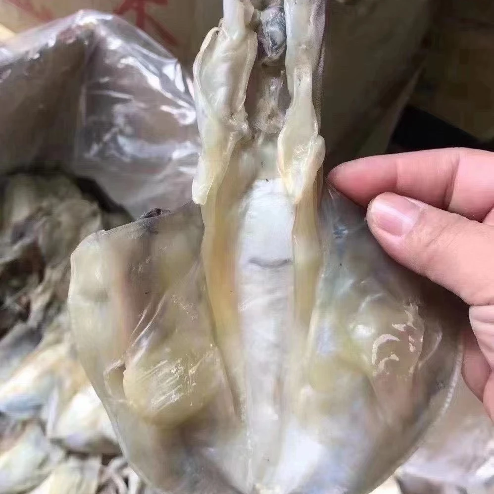 广东汕尾港原船本港墨鱼干淡干墨脯小号墨鱼干特产煲汤乌贼干