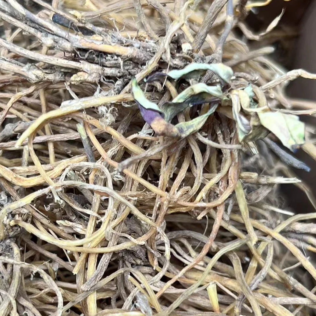 云南深山好物【笼胆参】