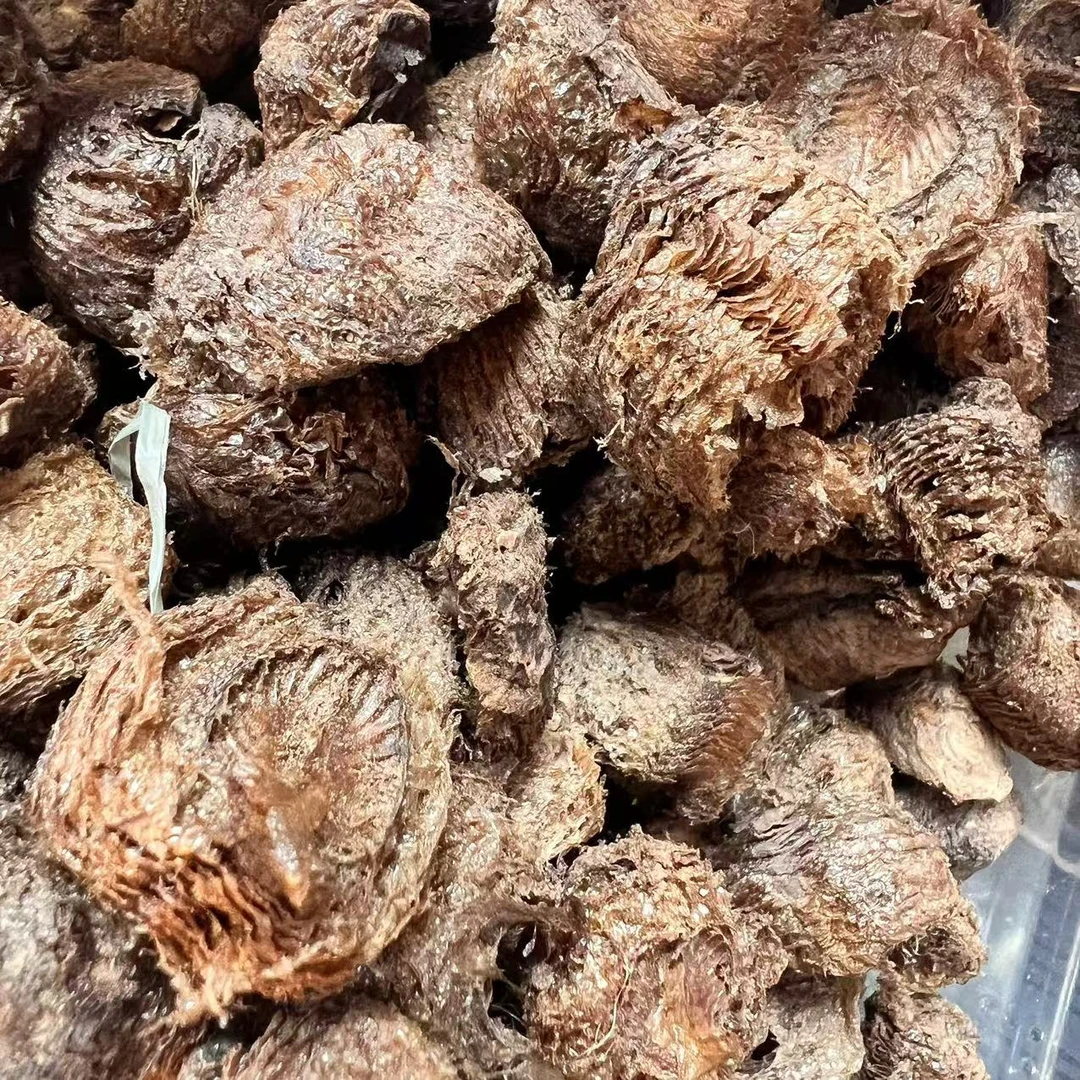 云南深山好物--桑螵蛸