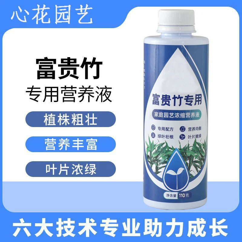 抢！【到手5瓶】富贵竹营养液发财树观音竹水培植物铜钱草养花肥料