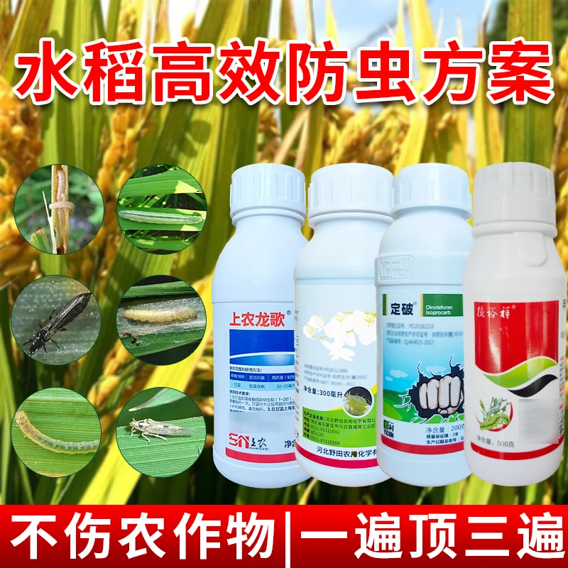 水稻专用三虫消杀钻心虫稻蓟马稻飞适蚜虫二三化螟安全营养水溶肥