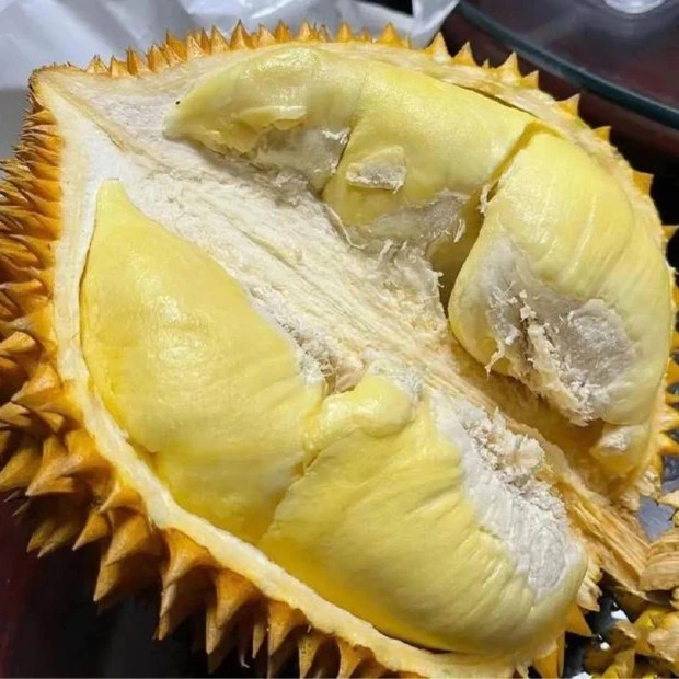 AA级金枕空运树熟榴莲1斤干包