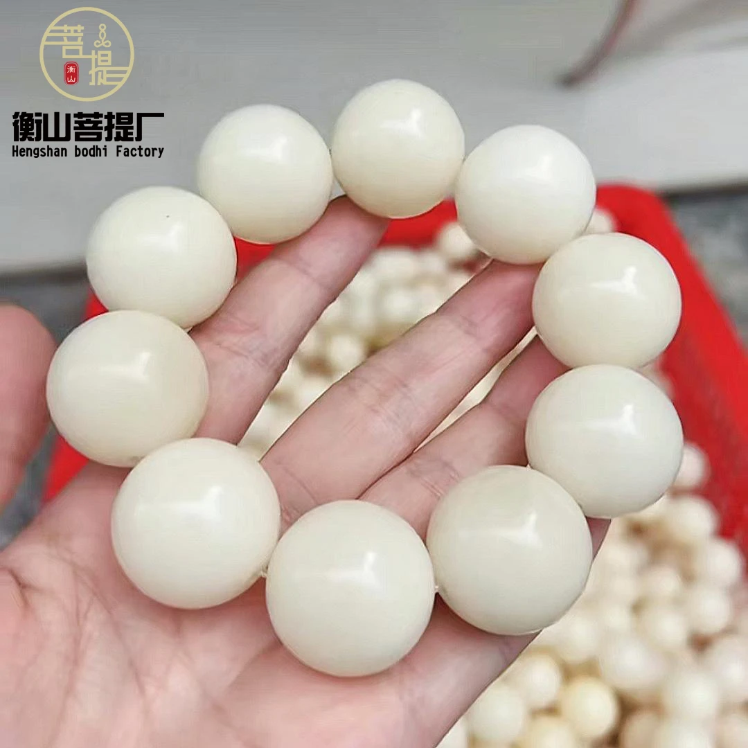 2.5大果正宗天然原生态白果菩提根绕指柔大果白玉菩提念珠手串