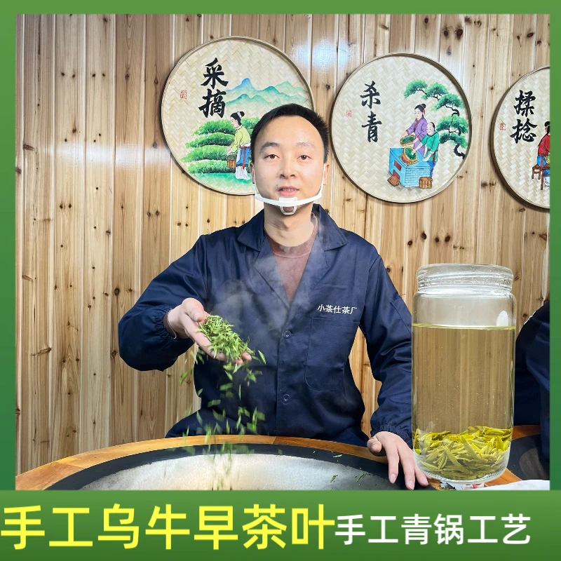 周永平手工茶2024新茶乌牛早绿茶 明前头春头采绿茶春茶