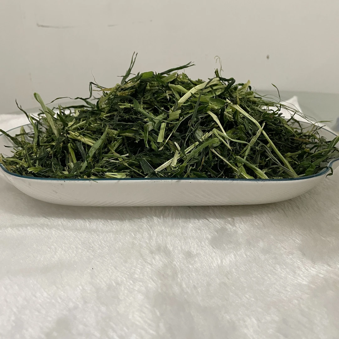 新鲜烘干大麦草段