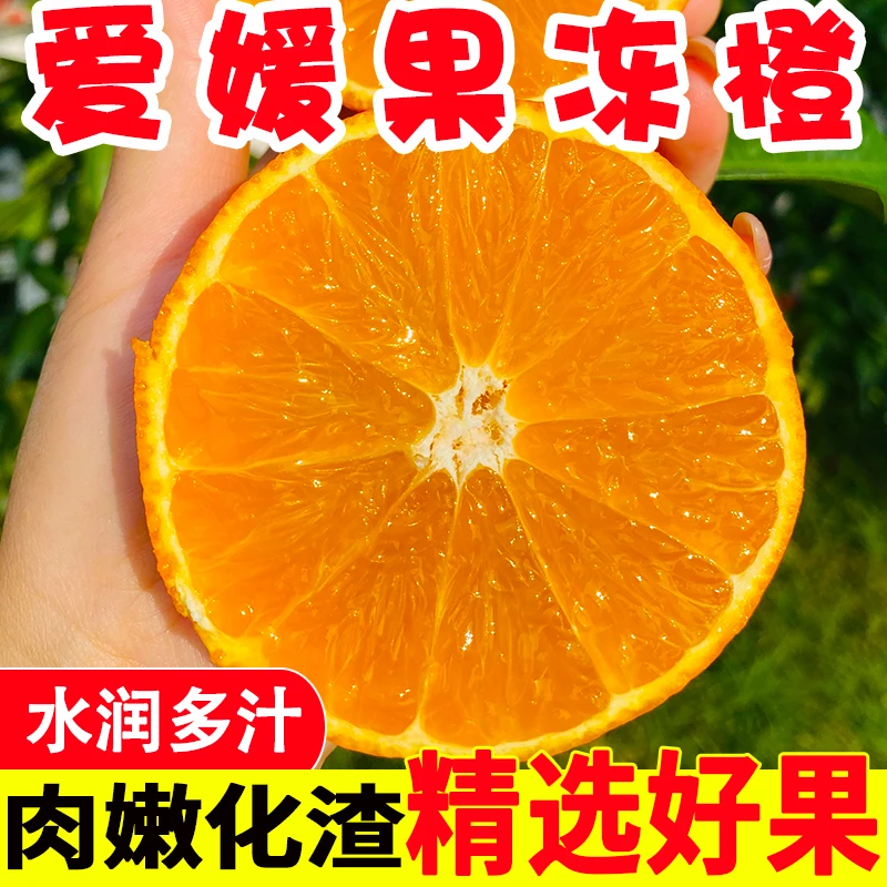 四川眉山爱媛38号果冻橙 净重4.5斤/8斤A