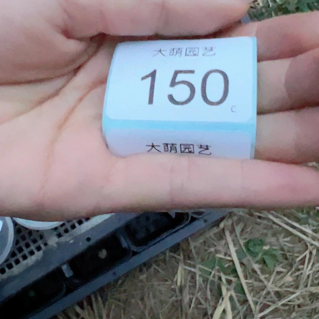 壹**媛0000150一物一拍……