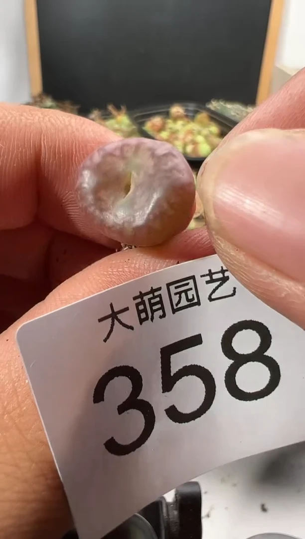 【闪购商品】---358