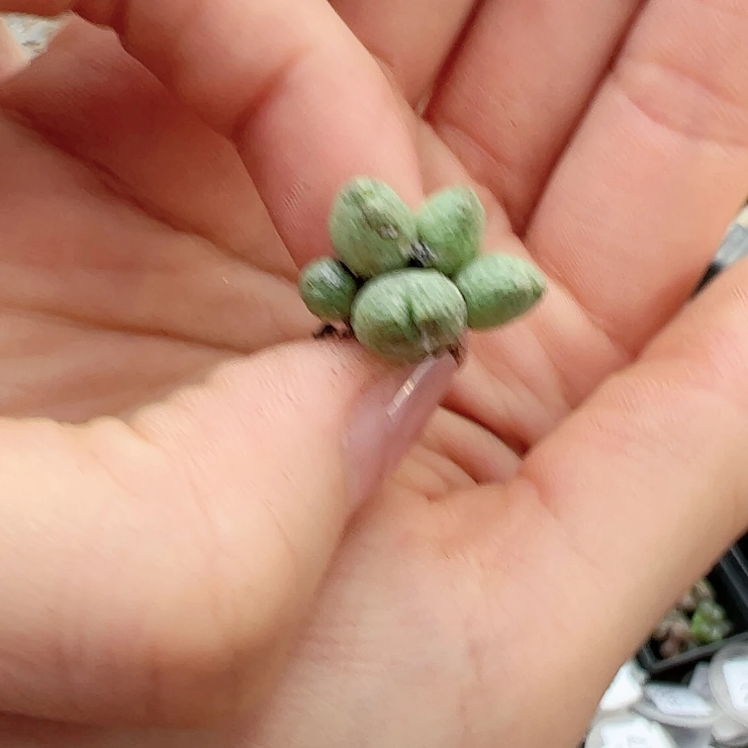 0000367 一物一拍……