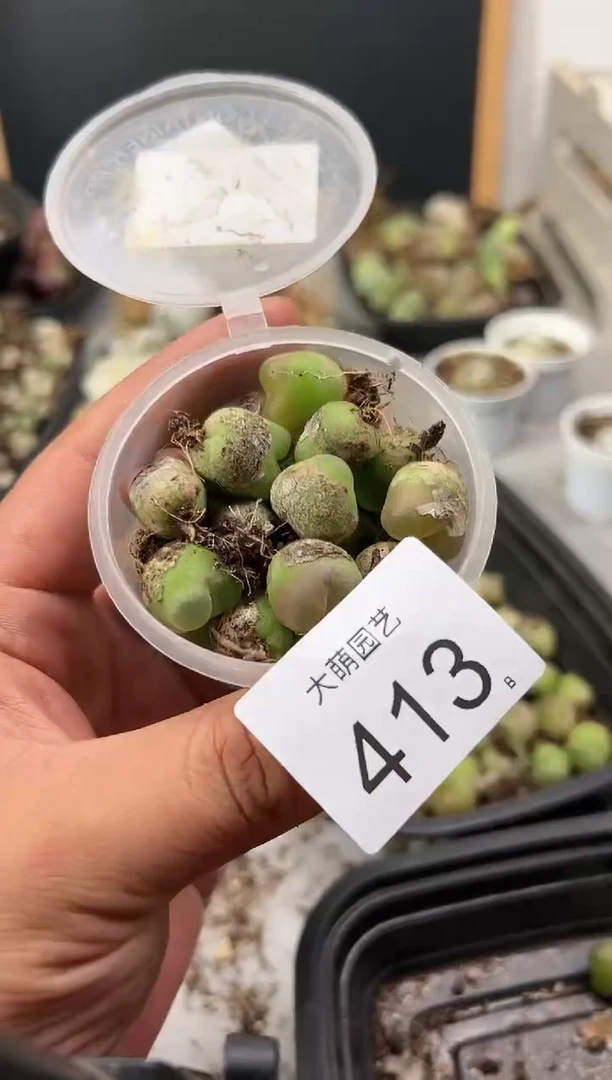 【闪购商品】----413