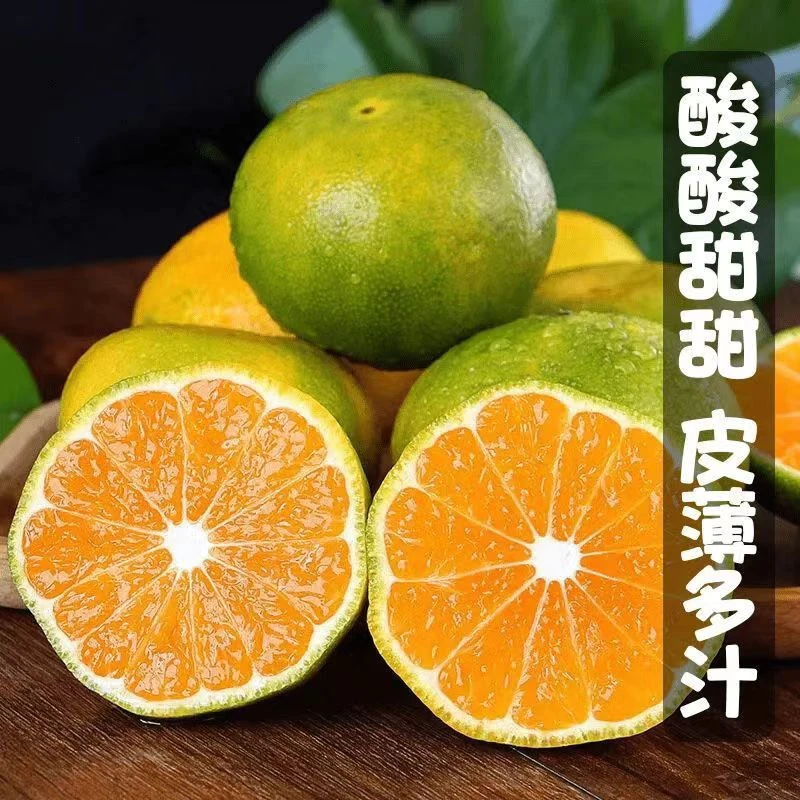 湖北宜昌蜜桔橘子桔子新鲜水果整箱当季无籽柑橘绿皮孕妇水果