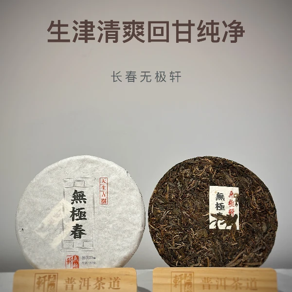 无极春生茶·2016年无极轩
