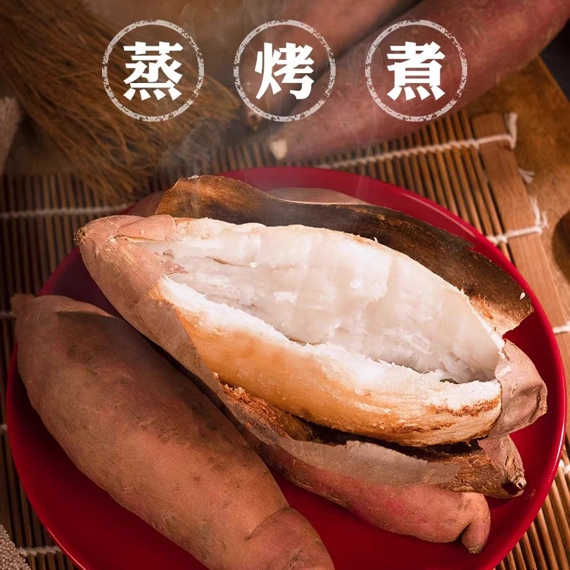 【周嵘甄选】山东冰糖牛奶薯五斤白心红薯软糯香甜糯粉口感冰糖薯