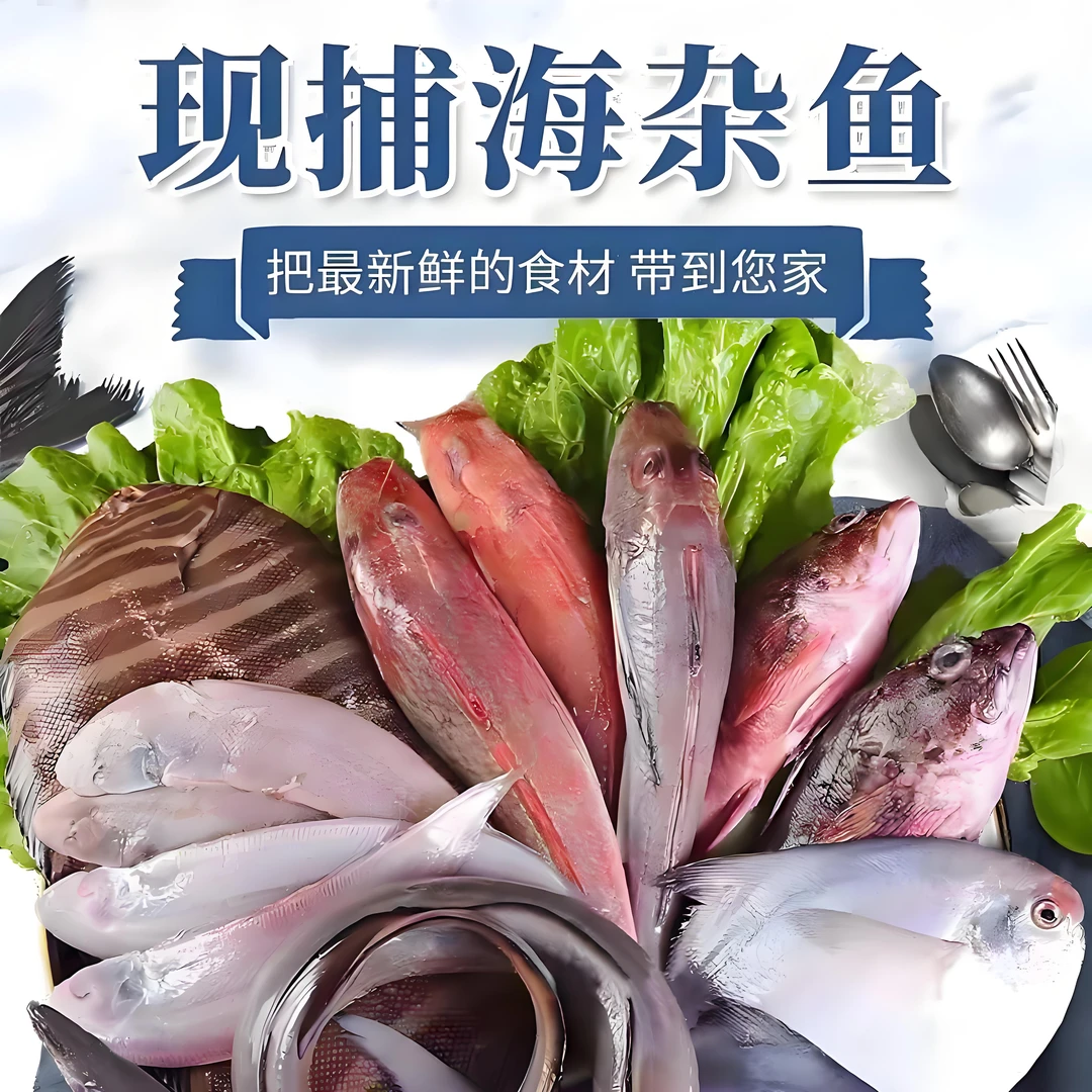 【杂鱼】福建祥芝海鲜