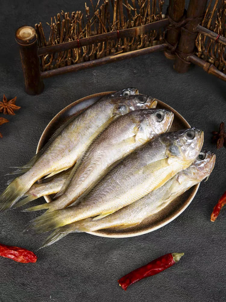 【野生黄花鱼】福建祥芝本港海鲜 以直播实物展示为准 顺丰冷链发货