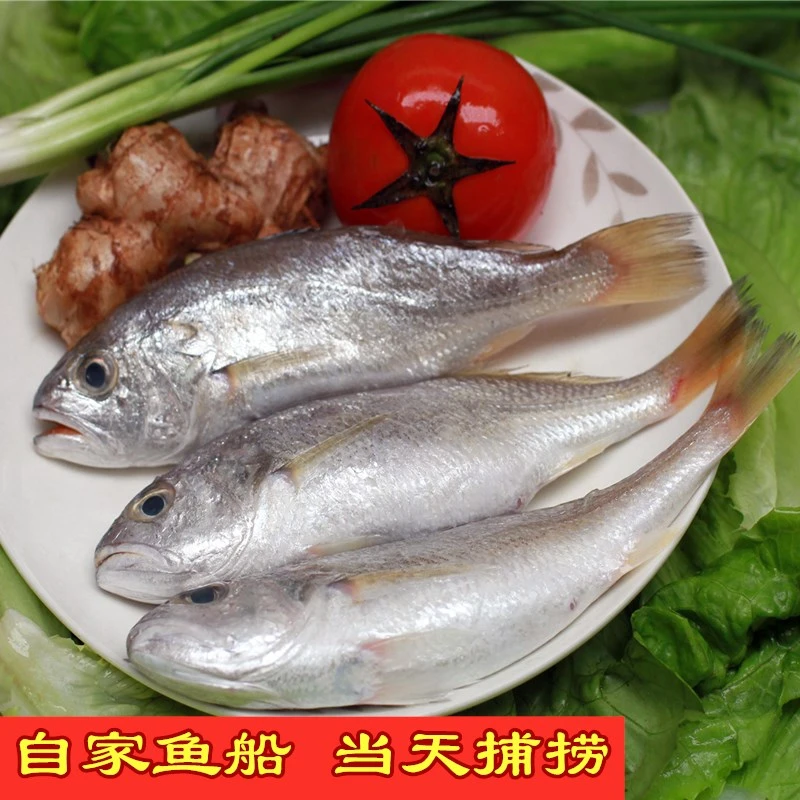 【梅仔鱼】 祥芝本港海鲜
