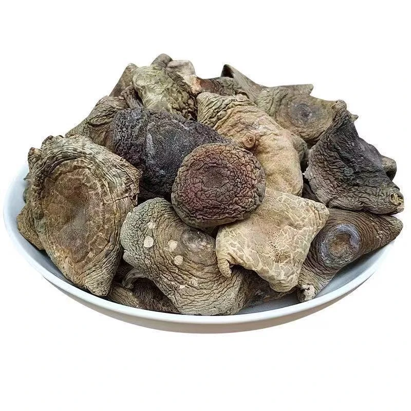 青头菌云南腾冲特产腾冲美味煲汤炒菜