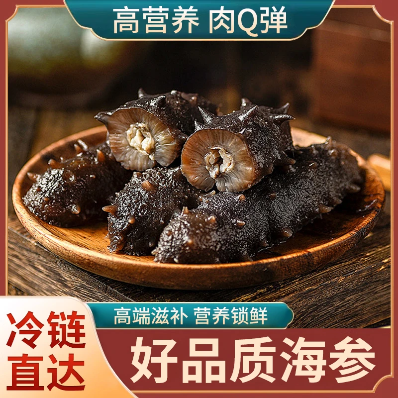 莱州湾【顺丰发货】野生即食海参 8-10头 厚实营养肉质饱满营养方便