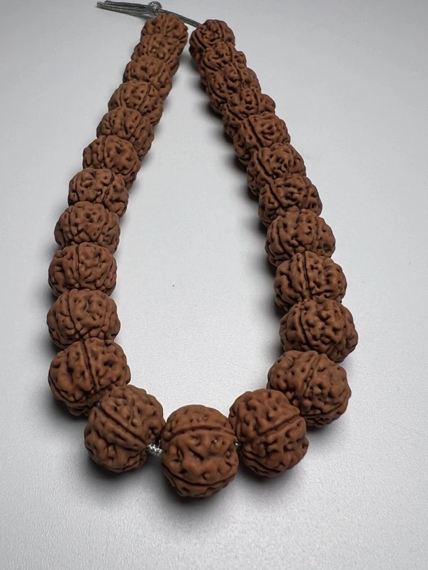 印尼老树王小金刚手持13尺寸