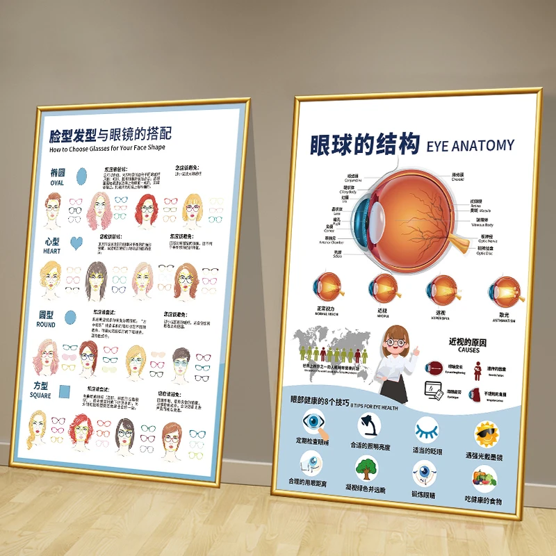 眼镜店装饰画科普眼球结构图眼科验光室墙面流程广告海报挂壁画
