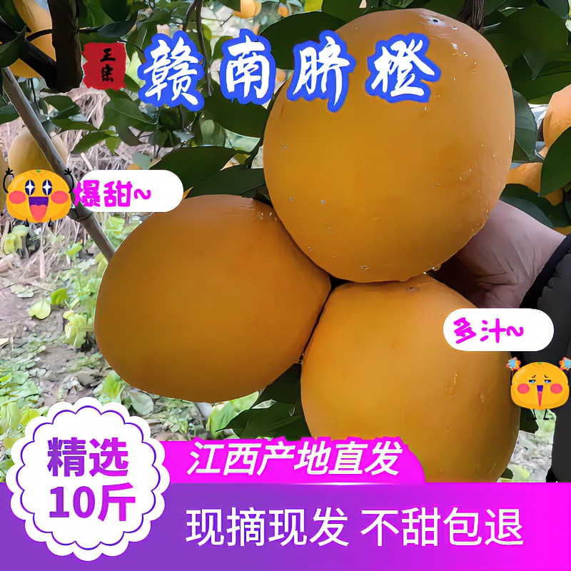 【正宗赣南脐橙】农家果园直发新鲜现摘手剥橙酸甜多汁果粒饱满橙子