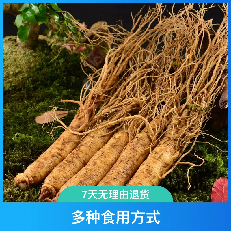 精选现挖长白山新鲜人参煲汤 泡水 做蜜片 顺丰包邮