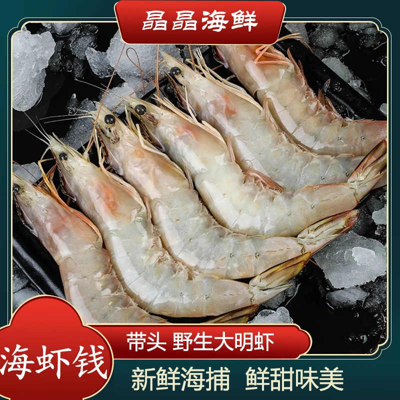 【带头海虾钱】海鲜水产海虾钱虾海捕带头黄钱子个大味美5-10斤
