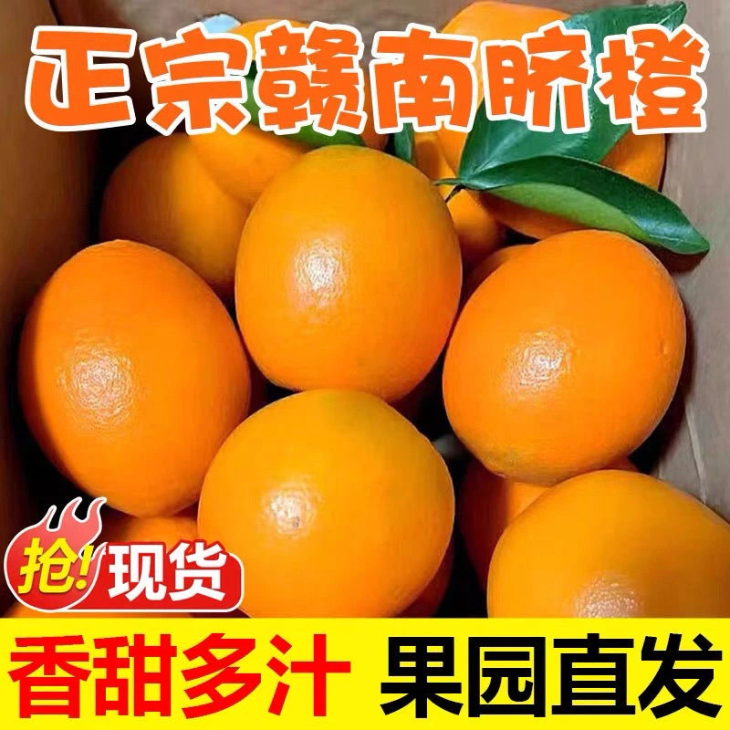 E【现采现发】正宗赣南脐橙香甜爆汁酸甜可口孕妇老少水果营养丰富