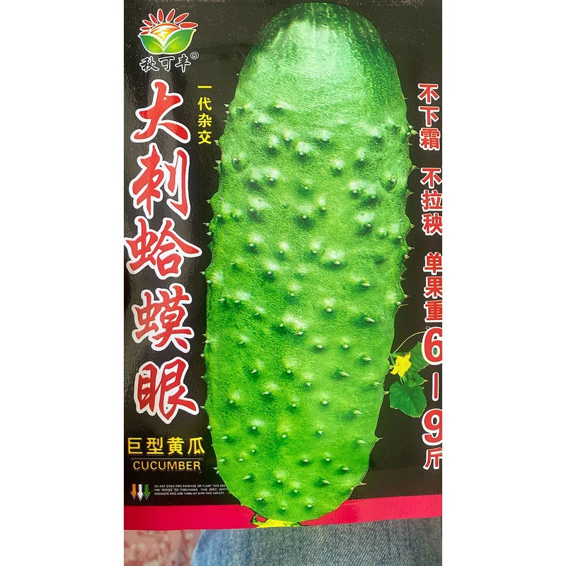 秋可丰大刺蛤蟆黄瓜籽