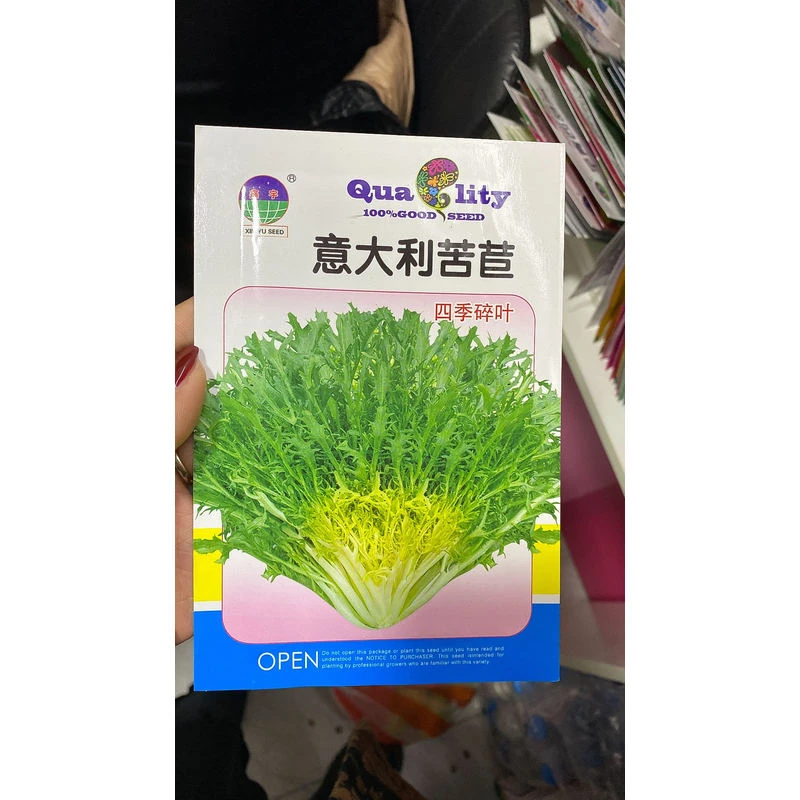 鑫宇苦苣籽鑫宇苦苣籽