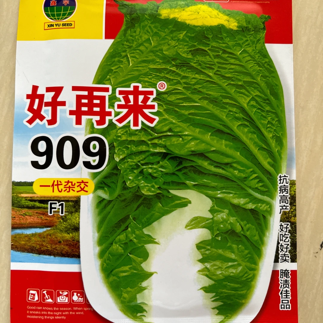 好再来909一代杂交白菜籽
