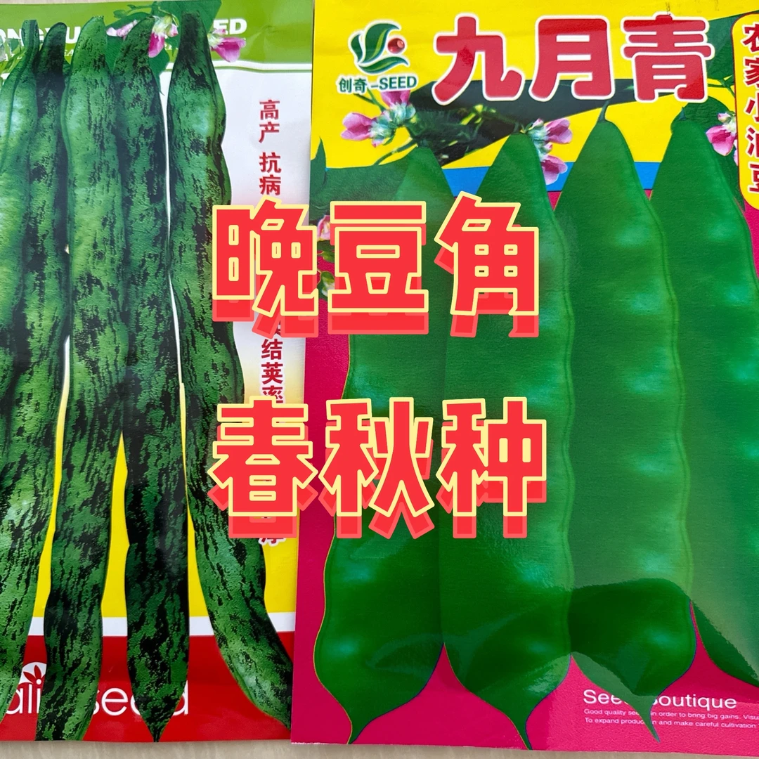 【八月忙九月青】长豆角蔬果种子各一袋