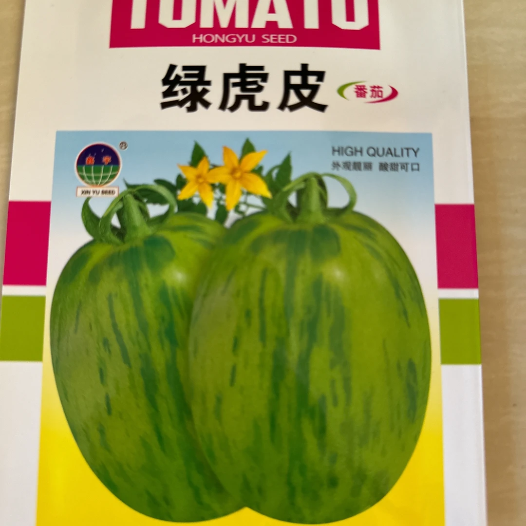 绿虎皮柿子新种子