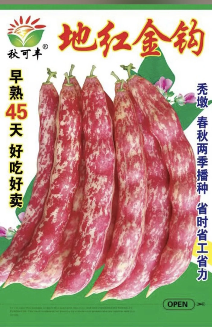 地红金钩(不搭架)适合北方种植